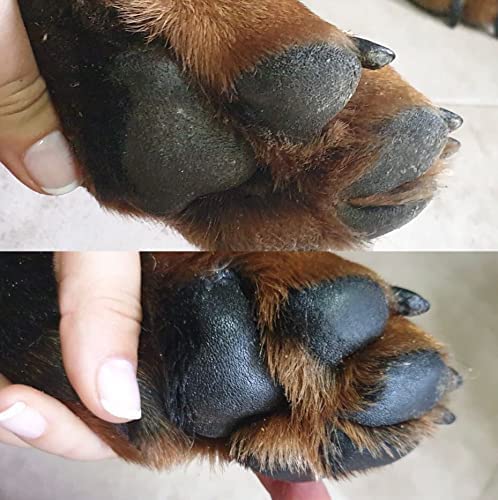 Creme Reparador Pet Pad: Cuidado Profissional para Patas Rachadas e Secas - Hidratação e Proteção Natural