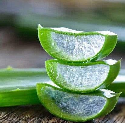Crema Acondicionadora Aloe Vera 500ml