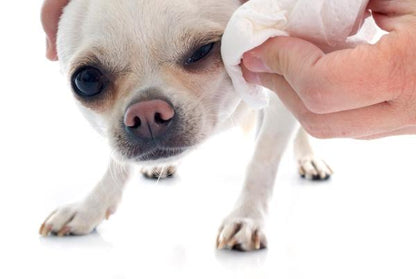 Miradas Radiantes: Limpiador de Ojos para Mascotas Perros y Gatos de 100 ml